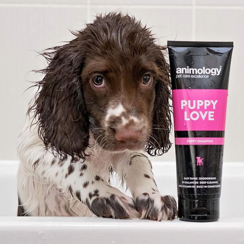 Animology Puppy Love Shampoo 250ml Selectric